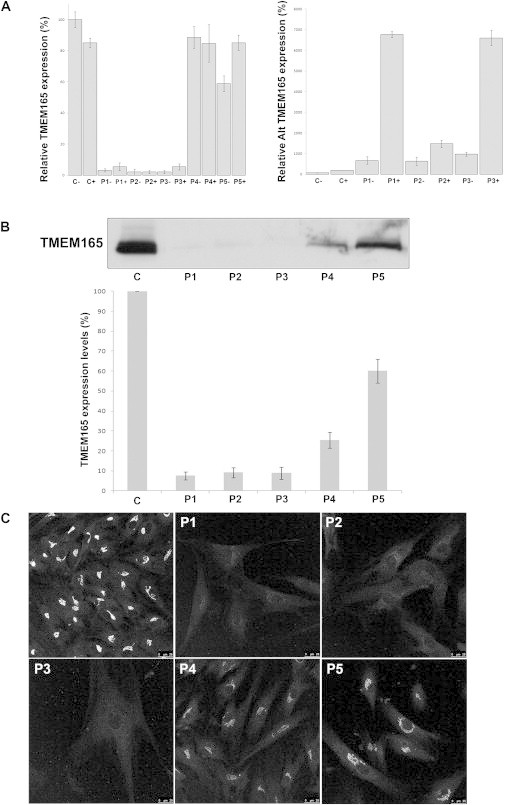 Figure 5