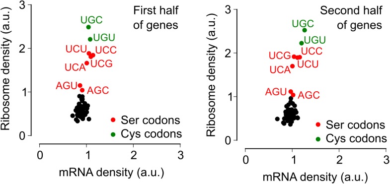 Figure 2—figure supplement 3.