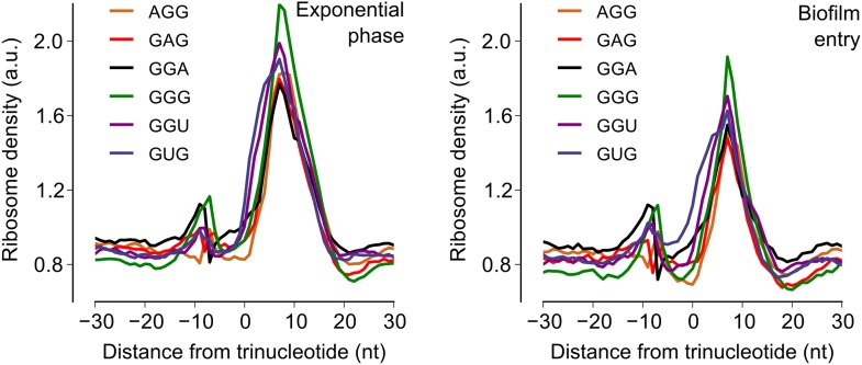 Figure 2—figure supplement 2.