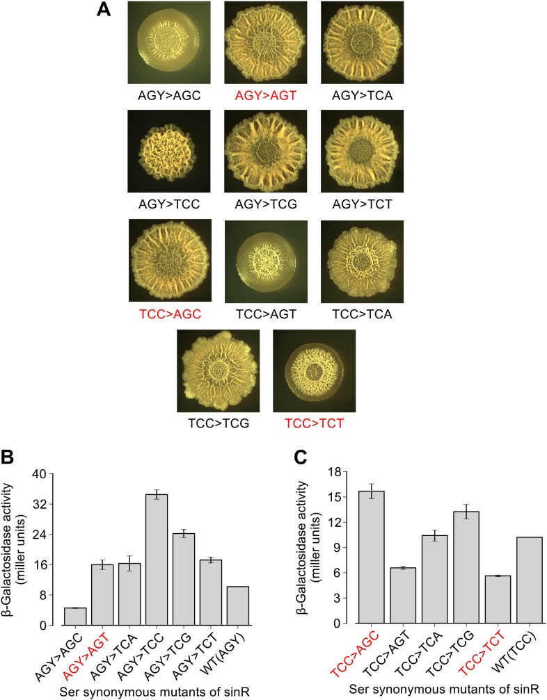 Figure 1—figure supplement 2.