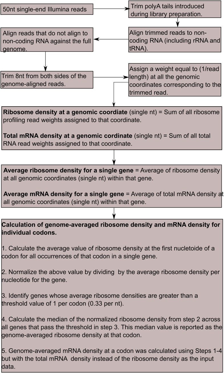 Figure 2—figure supplement 1.