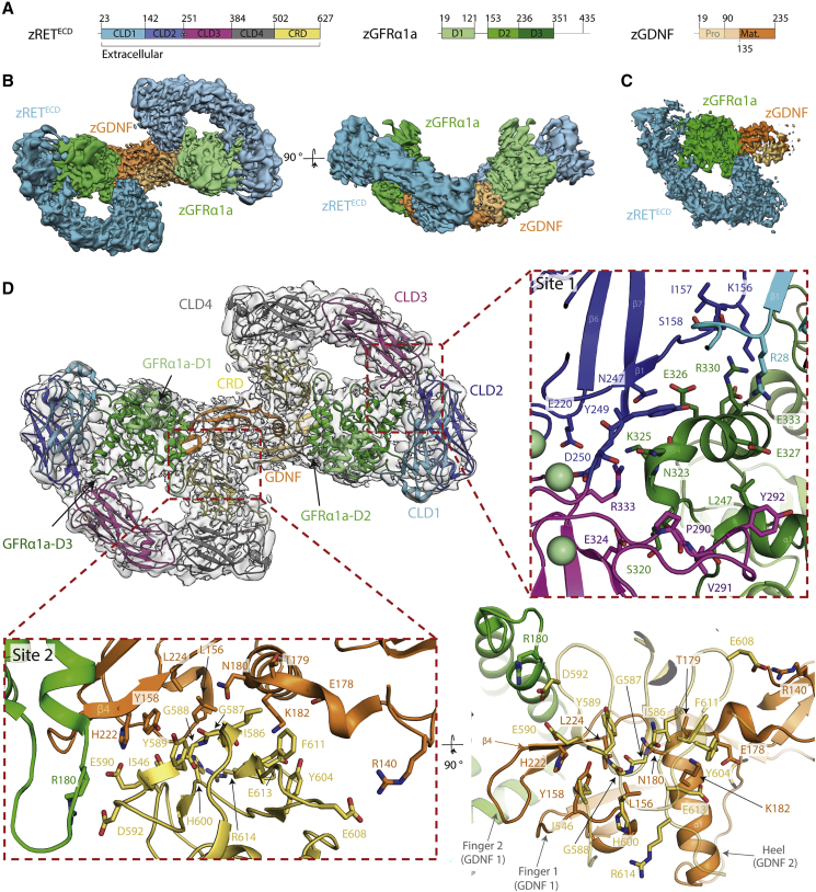 Figure 2