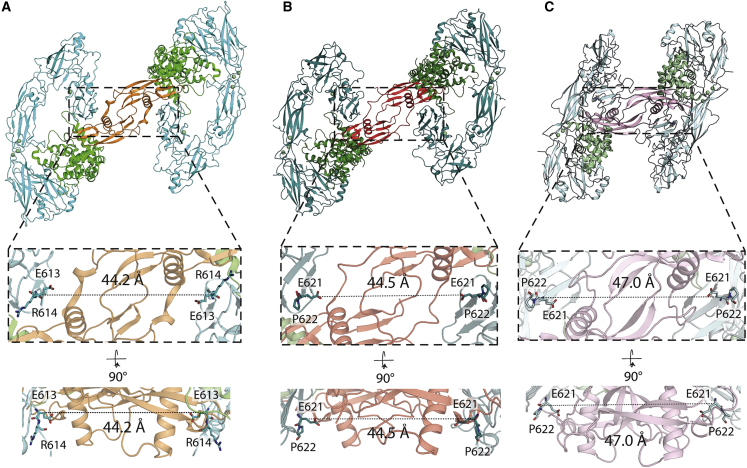 Figure 4