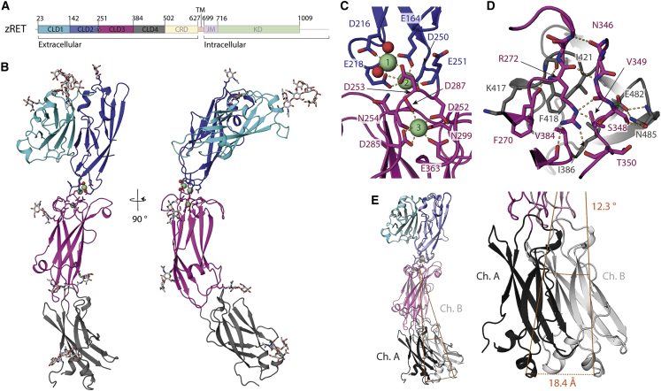 Figure 1