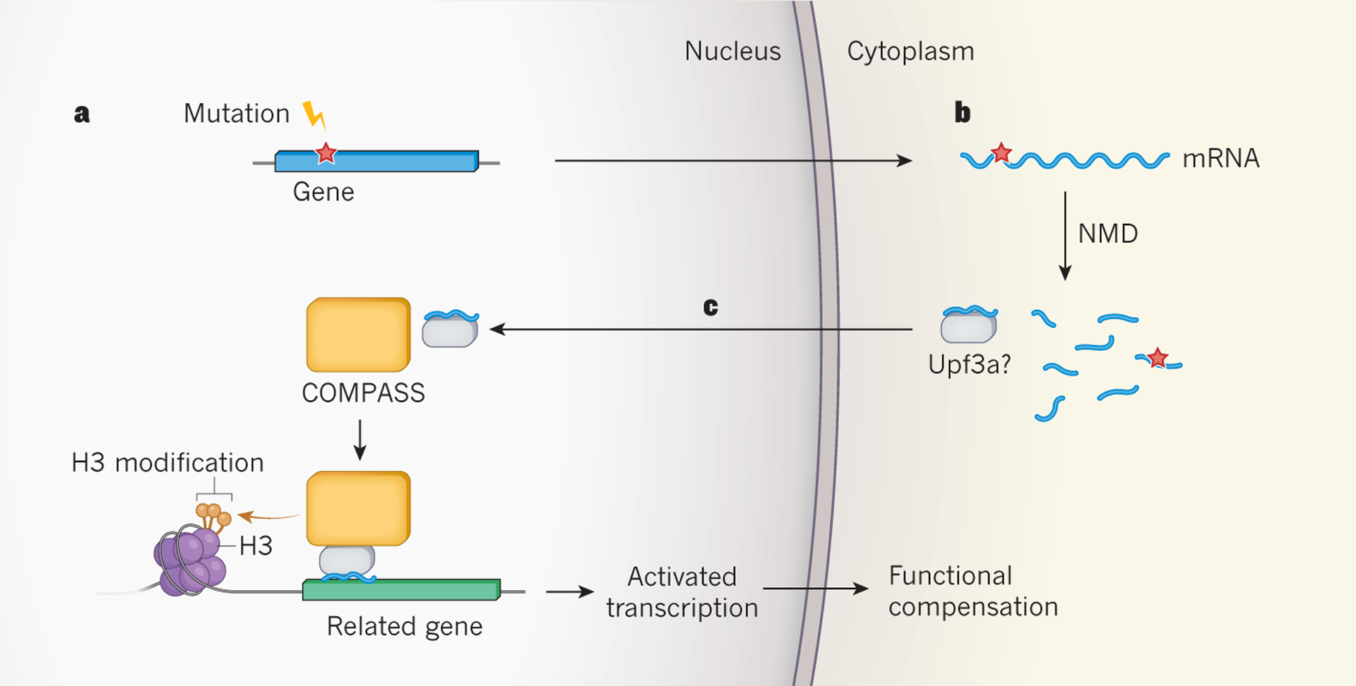 Figure 1 |