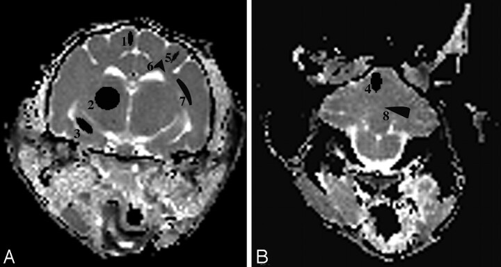 Fig 1.