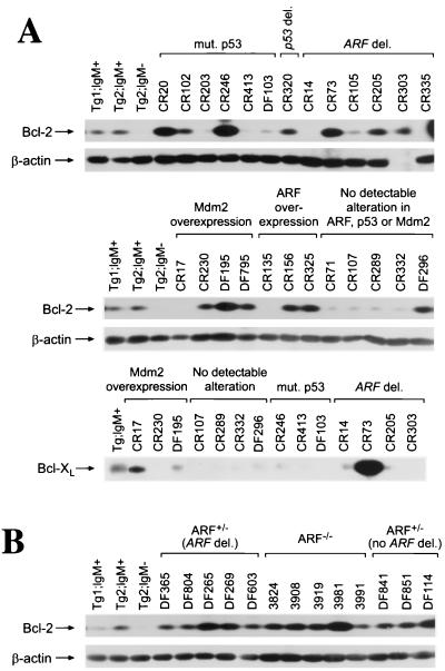 FIG. 6