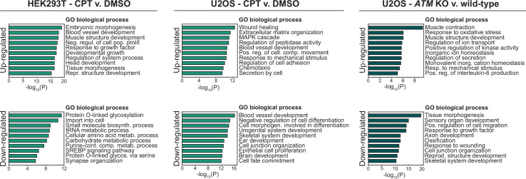 Figure 3—figure supplement 2.