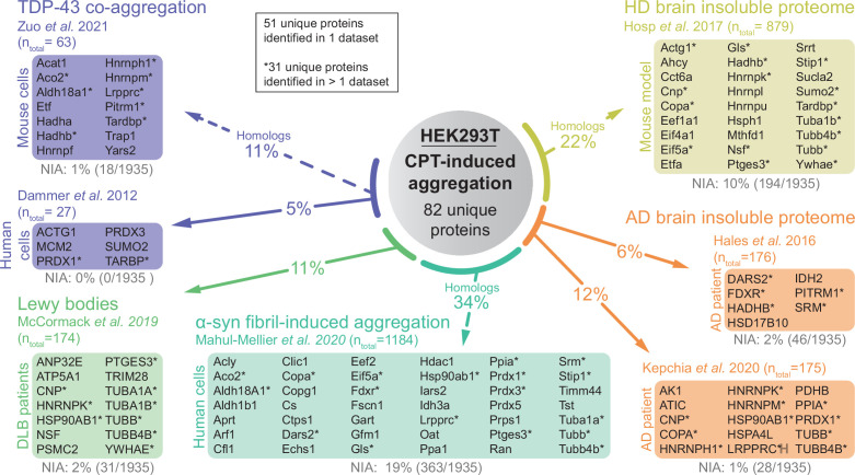 Figure 4—figure supplement 2.