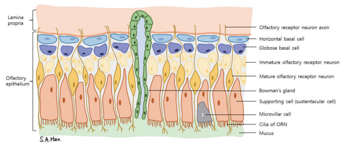 Fig. 2.