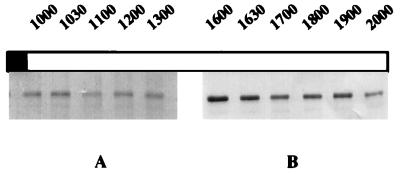 FIG. 9