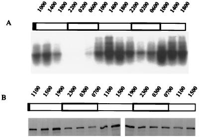 FIG. 5