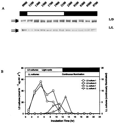 FIG. 10