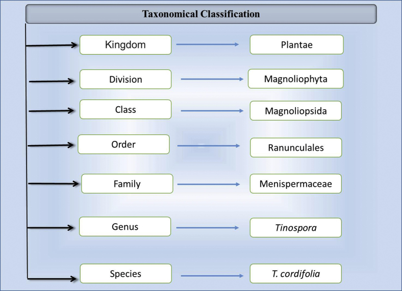 Figure 1