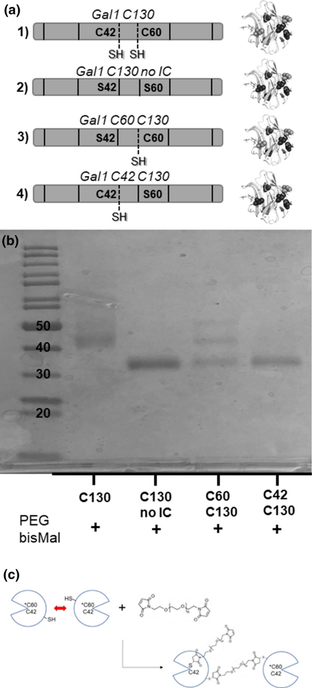 Figure 5