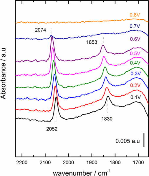 Figure 1: