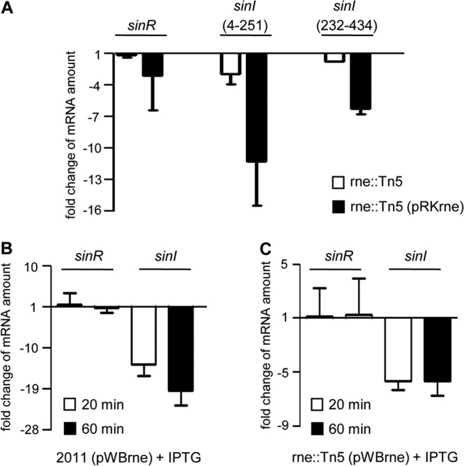 FIG 3