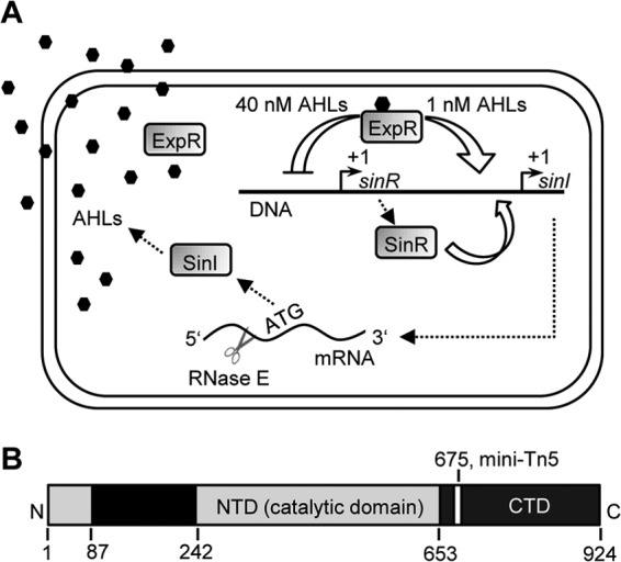 FIG 1