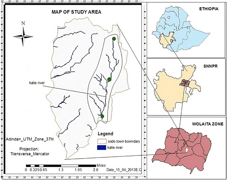 Fig. 1