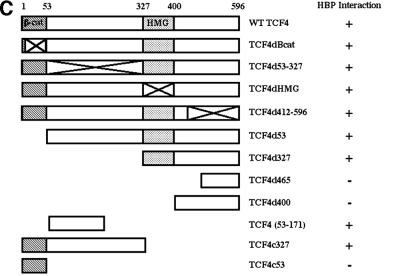 graphic file with name cde434f5c.jpg