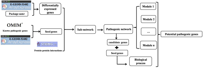 Figure 1.