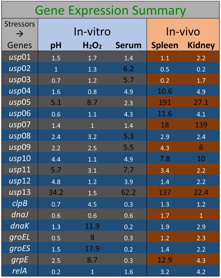 Fig 8