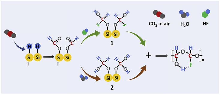 Scheme 1