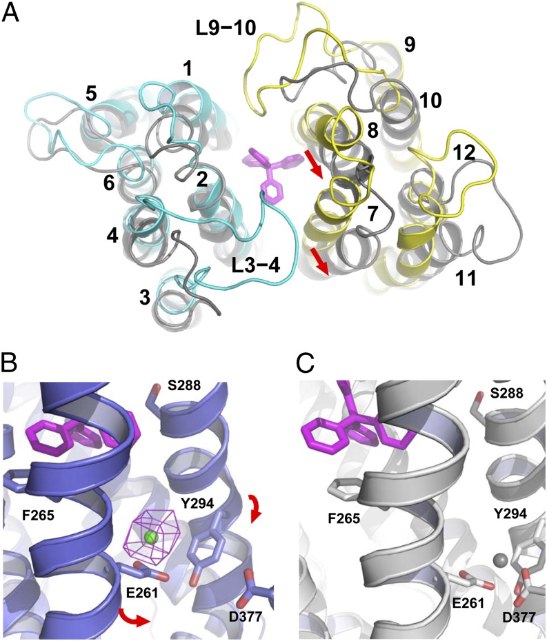 Fig. 3.