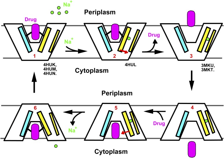 Fig. 4.