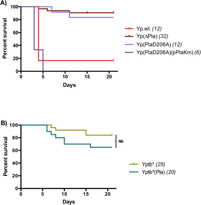 Fig 4