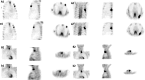 Fig. 6