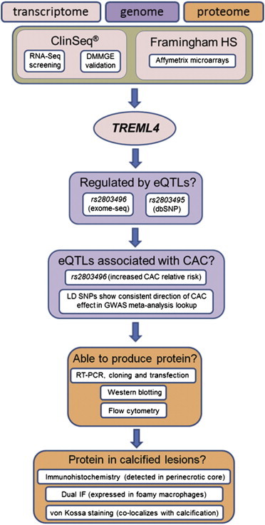 Figure 7