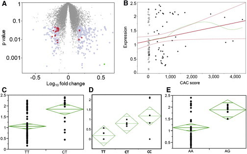 Figure 1