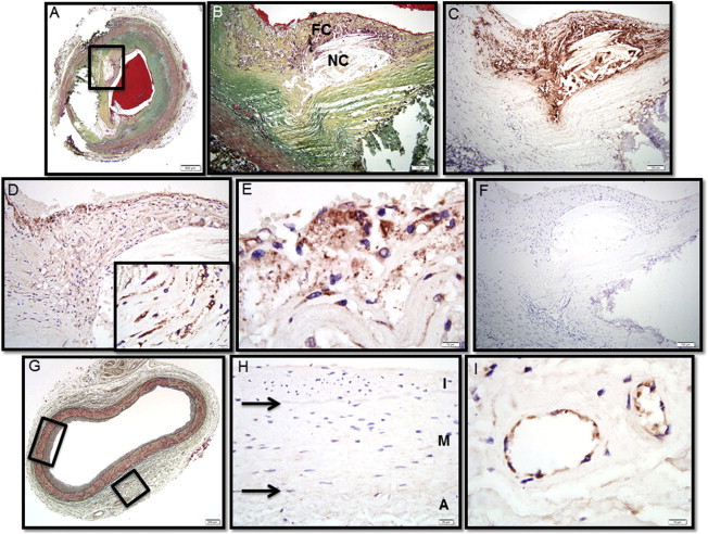 Figure 5