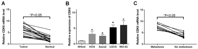 Figure 5.