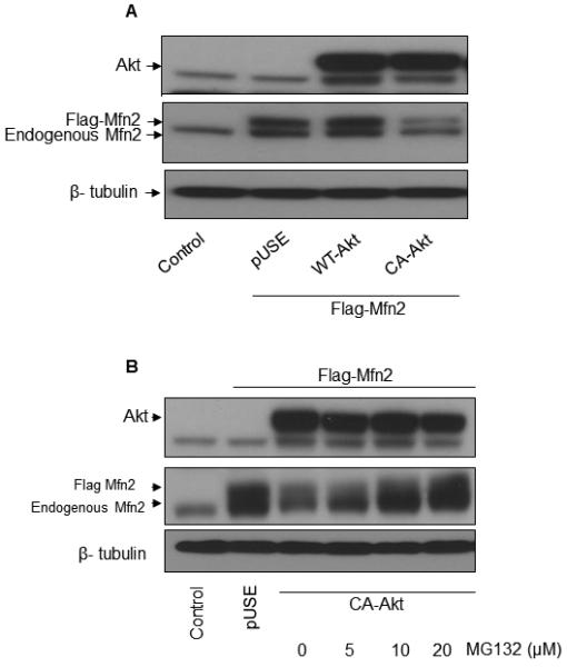 FIGURE 3