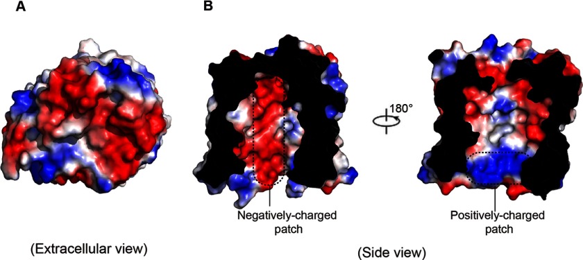 FIGURE 3.