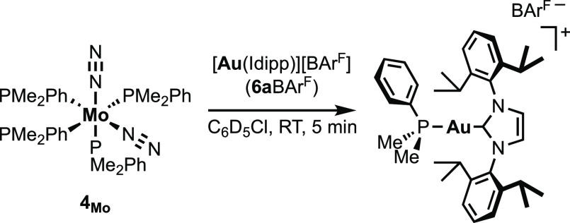 Scheme 5