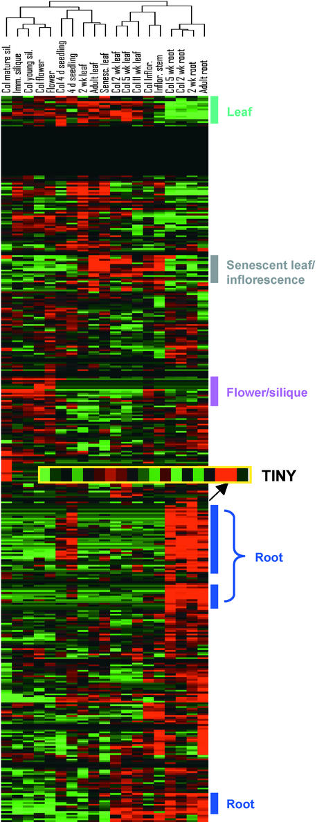 Figure 4.