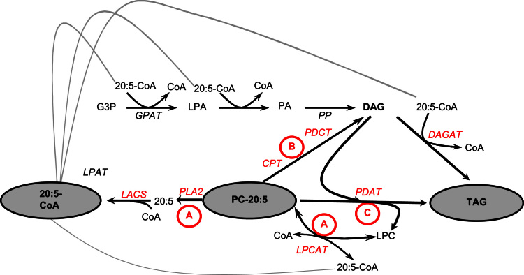 Fig. 8