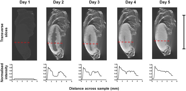 Fig 2