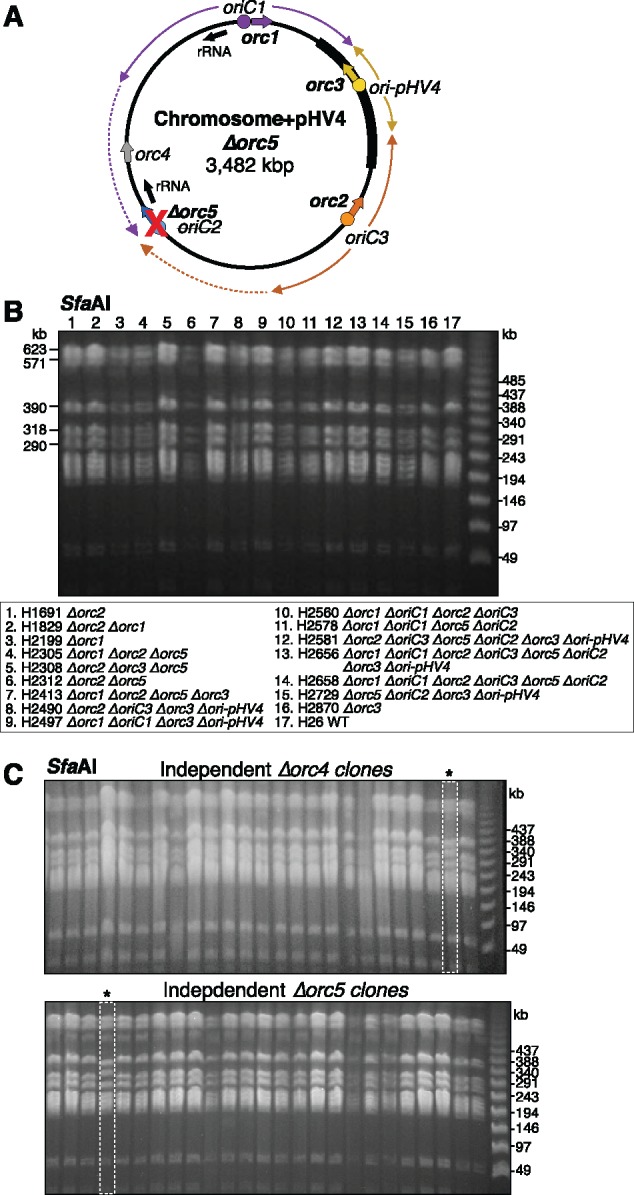 Fig. 4.