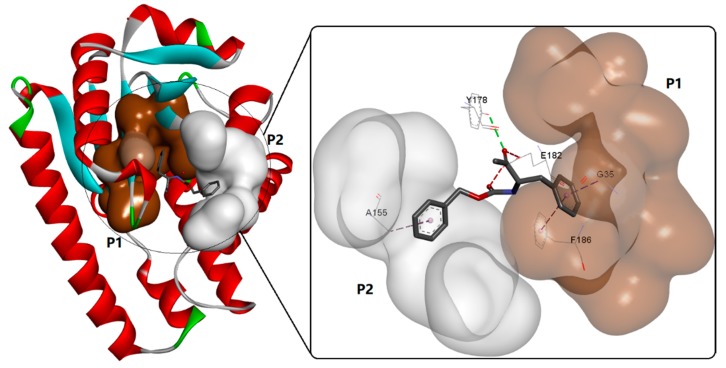 Figure 13