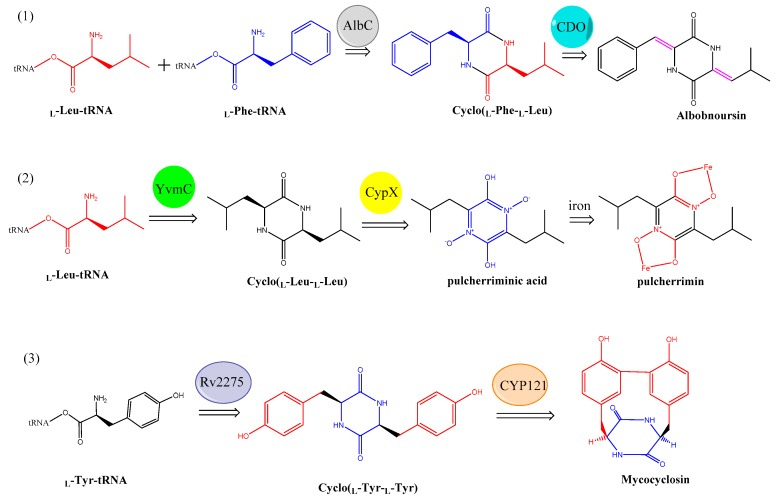 Figure 12