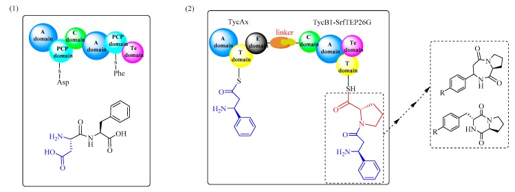 Figure 16