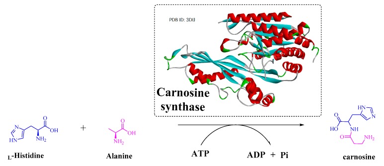 Figure 15