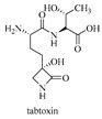 graphic file with name biomolecules-09-00733-i004.jpg