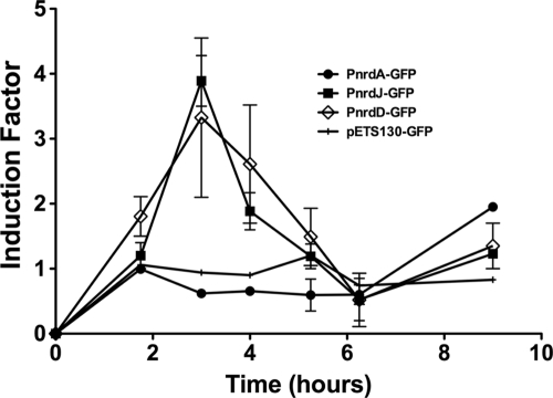 Fig. 3.