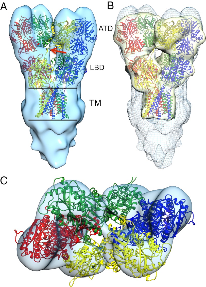 Fig. 3.