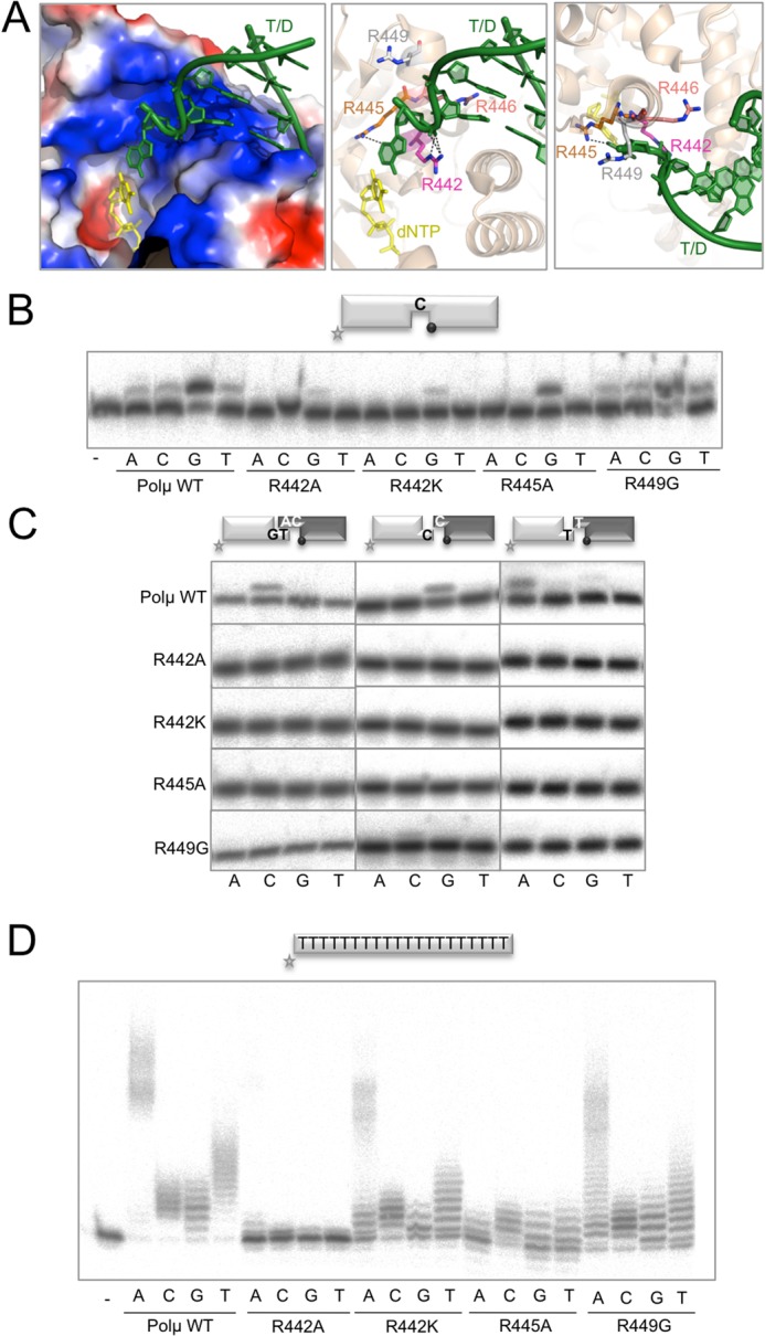 Figure 5.